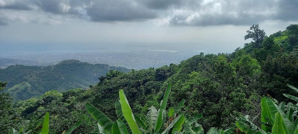 37 PETER'S ROCK, Woodford P.O., St. Andrew