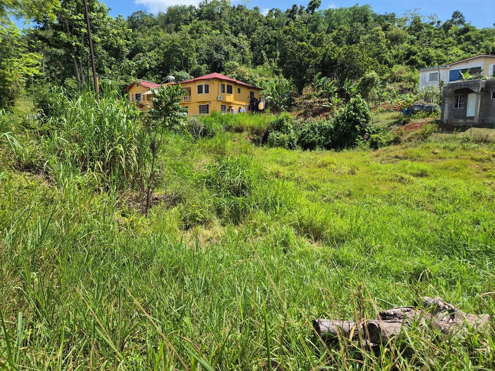 MCKINLEY ROAD lot: 4, Mandeville, Manchester