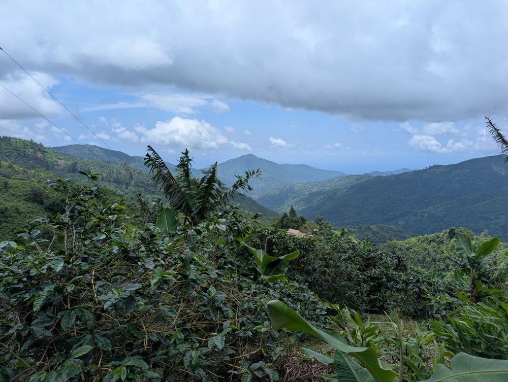 B1, Green Hill, Portland Parish