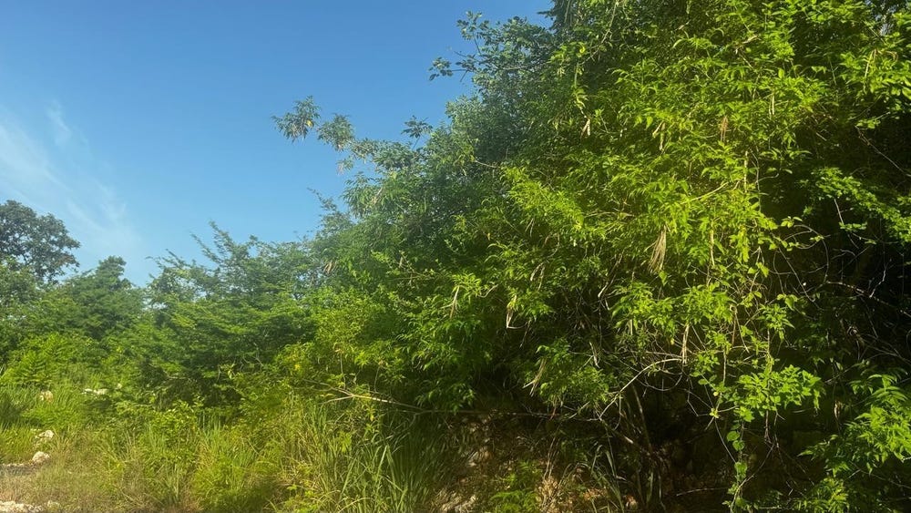 PLEASANT AVENUE, PLEASANT