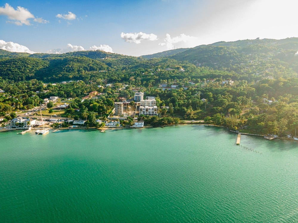 PARADISE BAY , READING