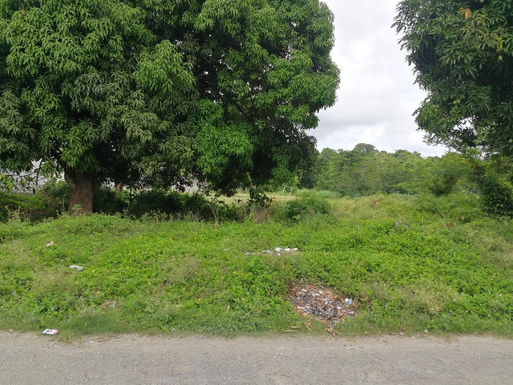 5 CURTIS BOTTOM ROAD, Port Morant, St. Thomas