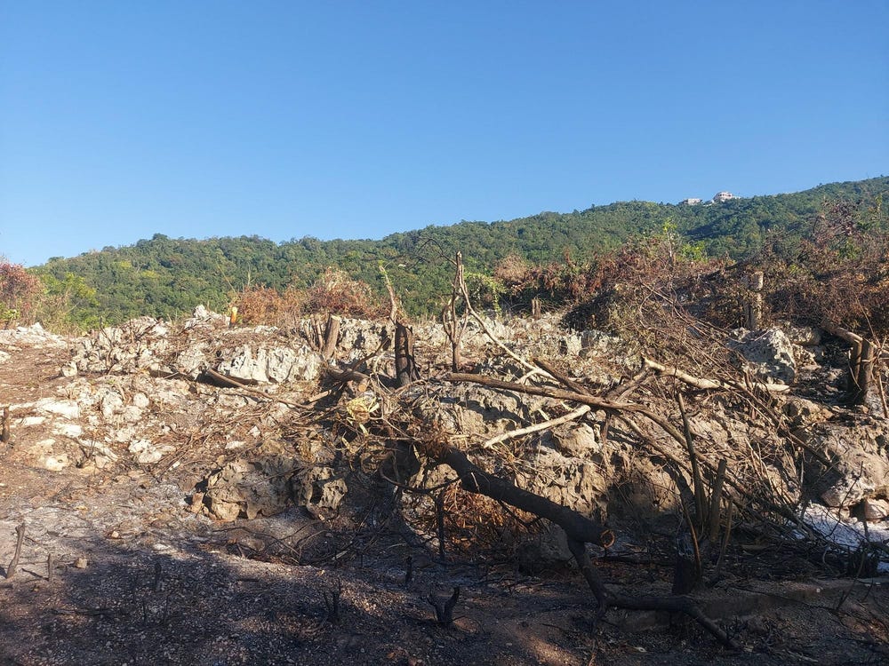 HENZEL TERRACE, Red Hills, St. Andrew