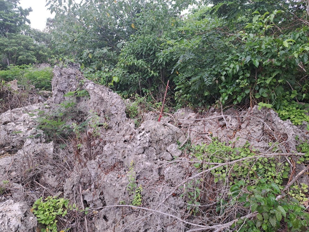 GREAT POND OCHO RIOS