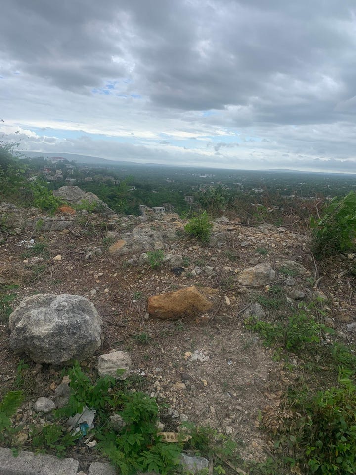 VICTORIA ROSE BOULEVARD