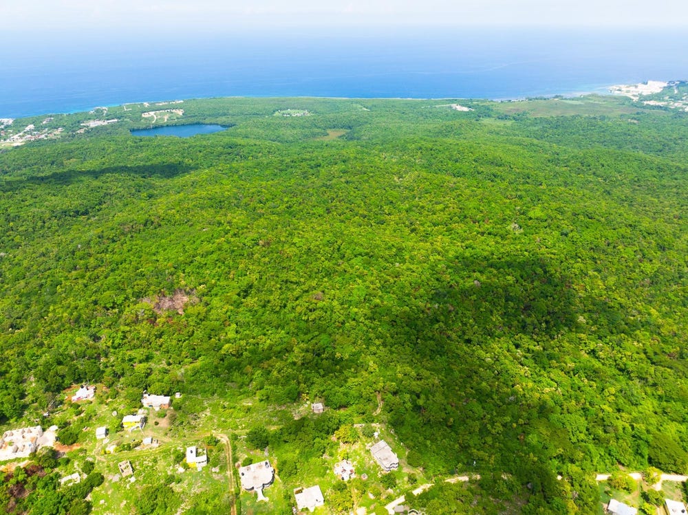 Unnamed Road, Belle Air, St. Ann Parish