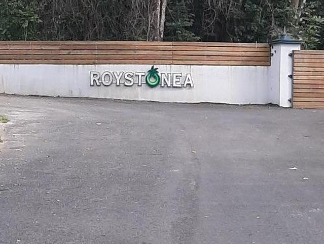 LOT 79 ROYSTONEA, Tower Isle, St. Mary