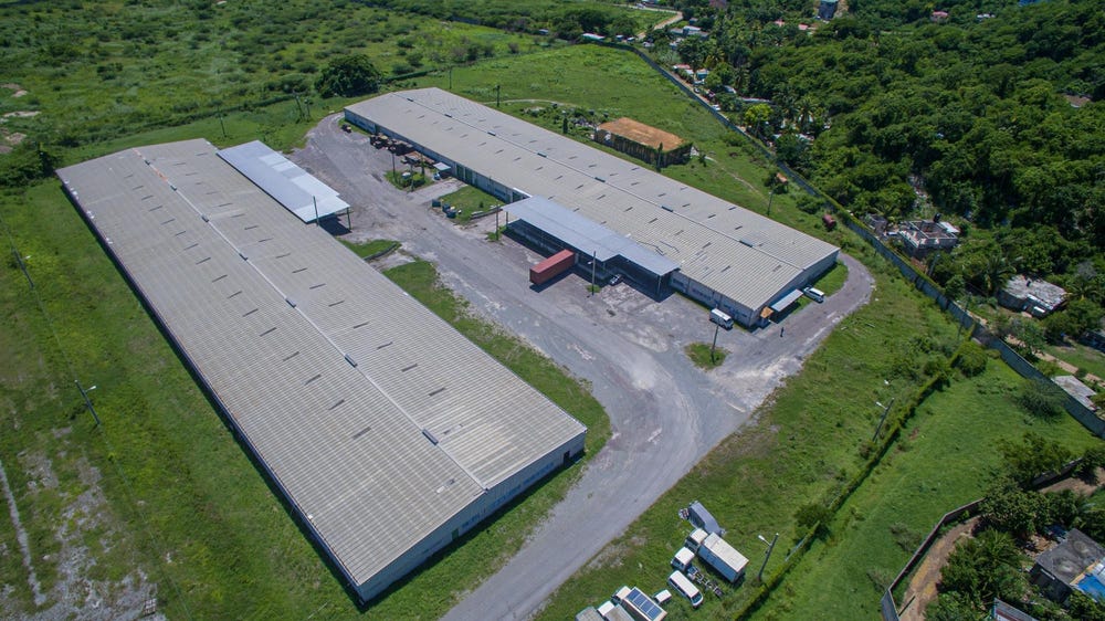 ANGEL PEN, FAIRYMEADE