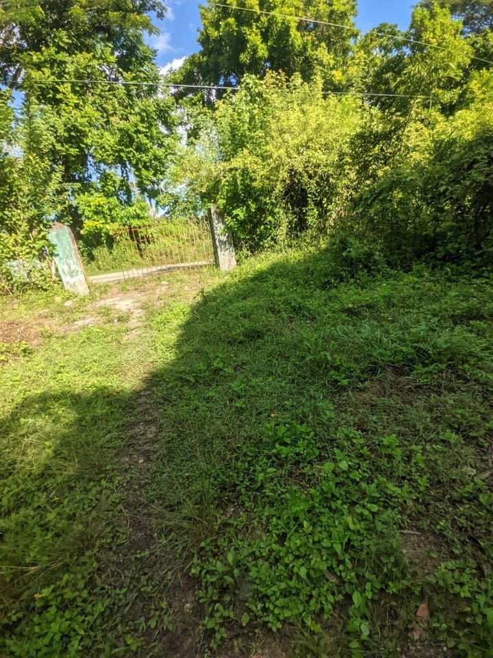 OXFORD ESTATE, BRIMMER HA, Free Hill, St. Mary