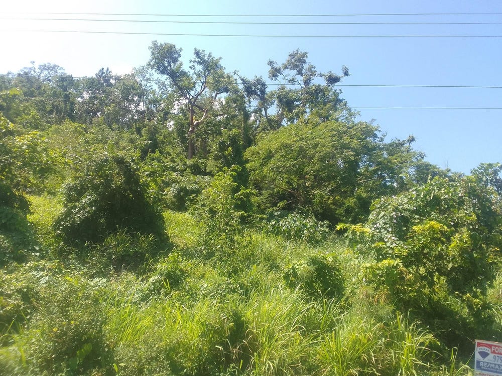 DUNCANS AVENUE, DUNCAN BAY, Trelawny