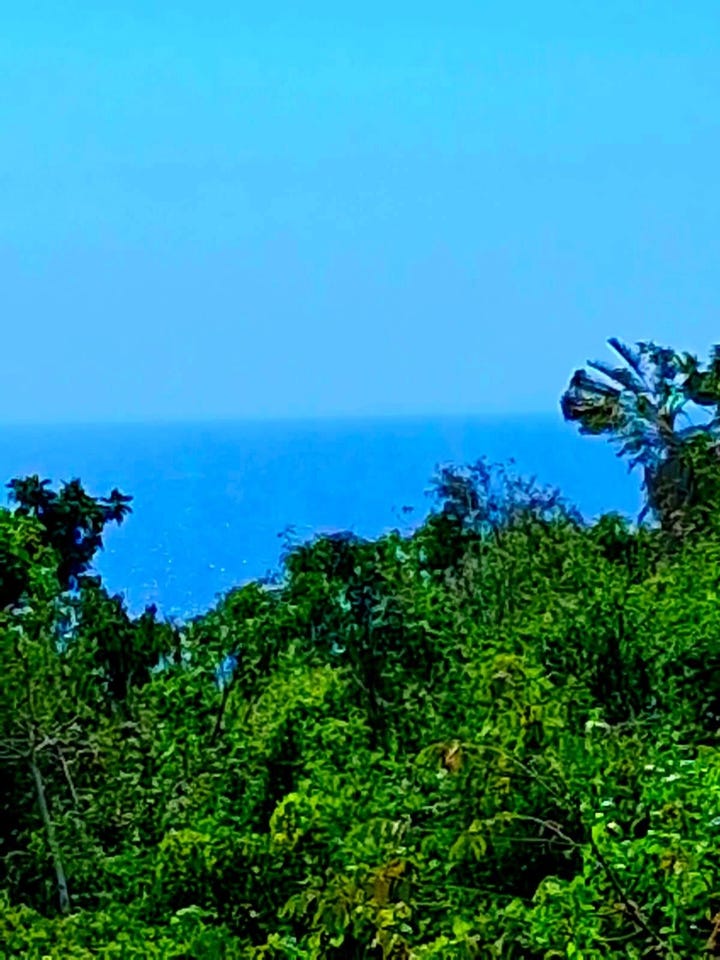 BLACK TOP ROAD, Negril, Westmoreland