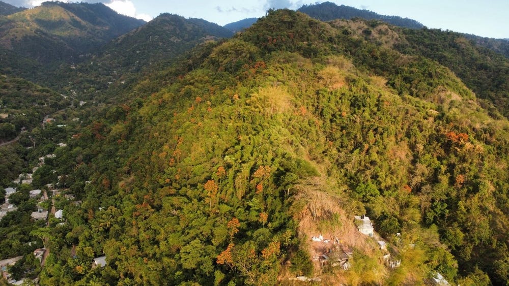 LAND PART OF GALEMOUNT, Gordon Town P.O., St. Andrew