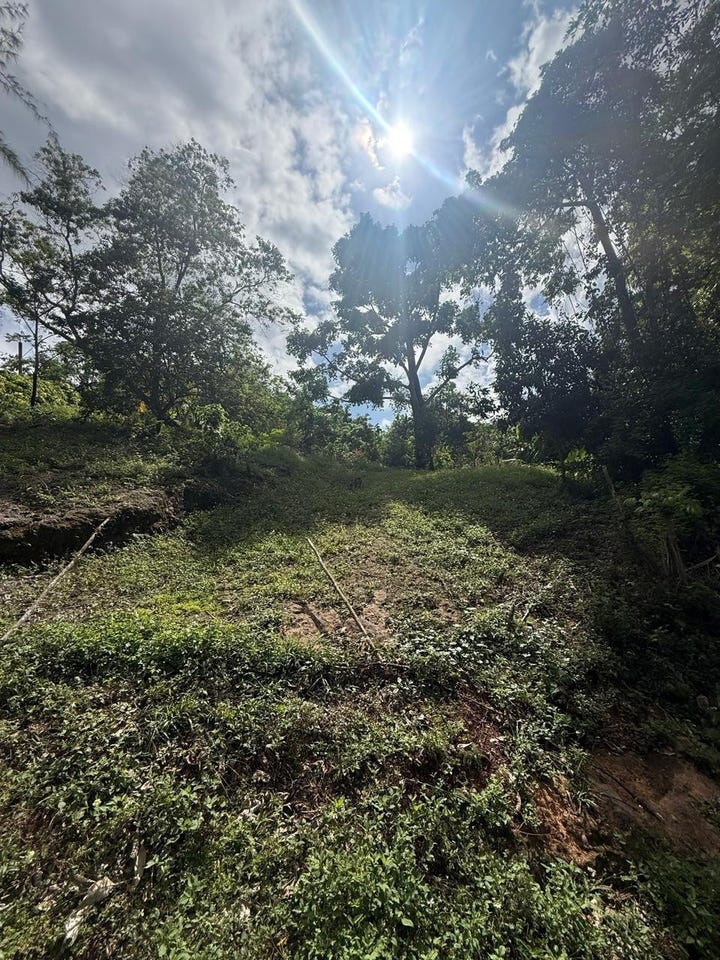 94R3+6FP, Galina, Jamaica, Port Maria, St. Mary Parish