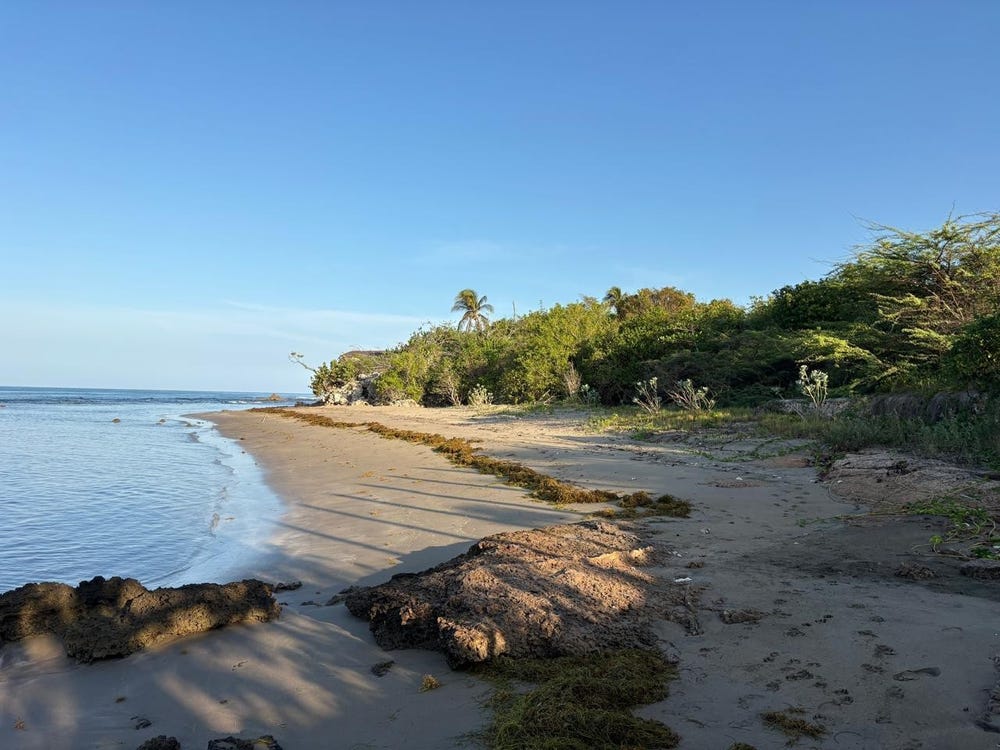 V6RC+659, Treasure Beach, Jamaica, Treasure Beach, St. Elizabeth Parish