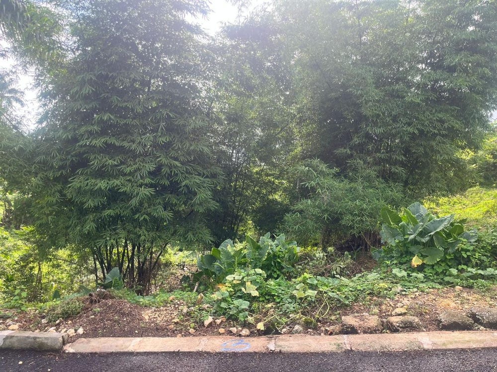 4XCW+4CQ, Church Rd, Tulloch, Jamaica, Linstead, St. Catherine Parish