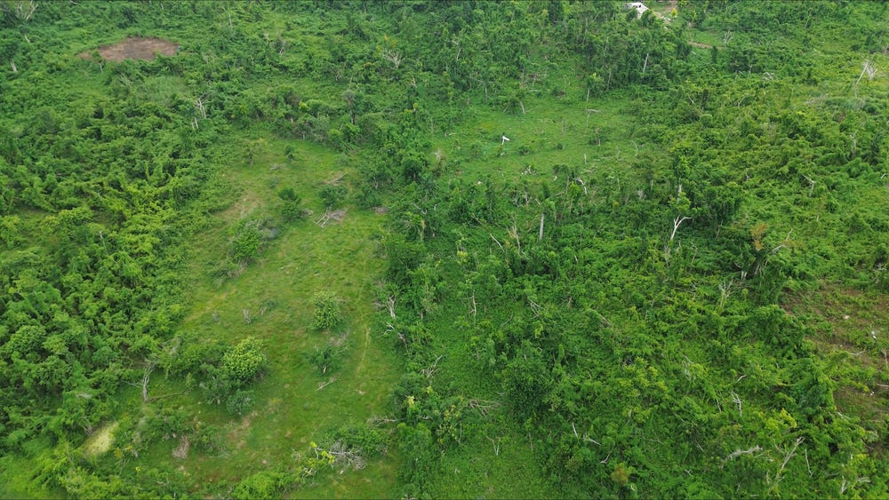 PETERSVILLE, WHITEHOUSE, Westmoreland