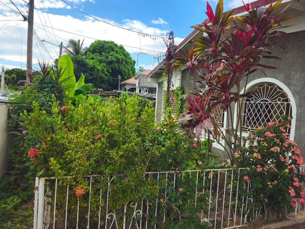 FESTIVAL ROAD, WHITEHALL