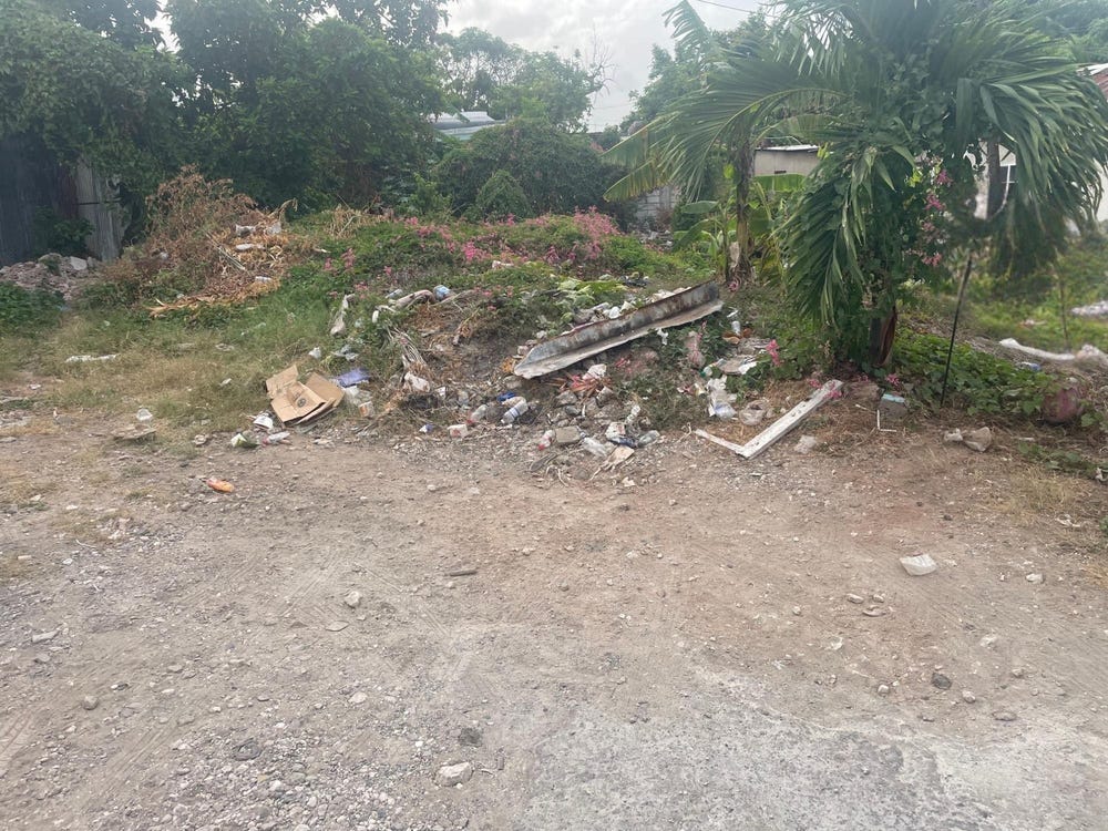 2 POTTERS VIEW AVENUE, Kingston 16, Kingston