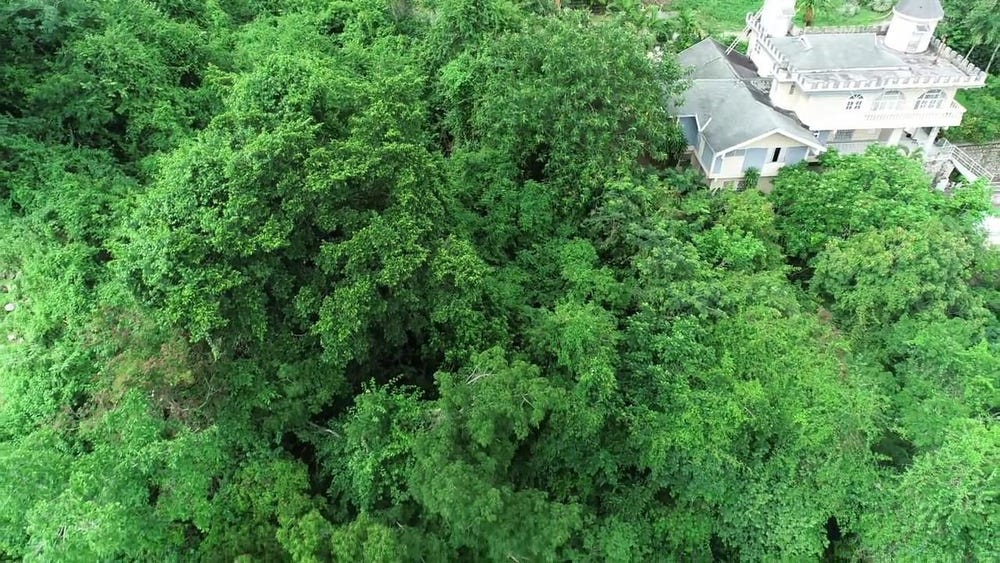 2a Wireless Drive, Kingston 19, Stony Hill, Saint Andrew, Stony Hill, Saint Andrew