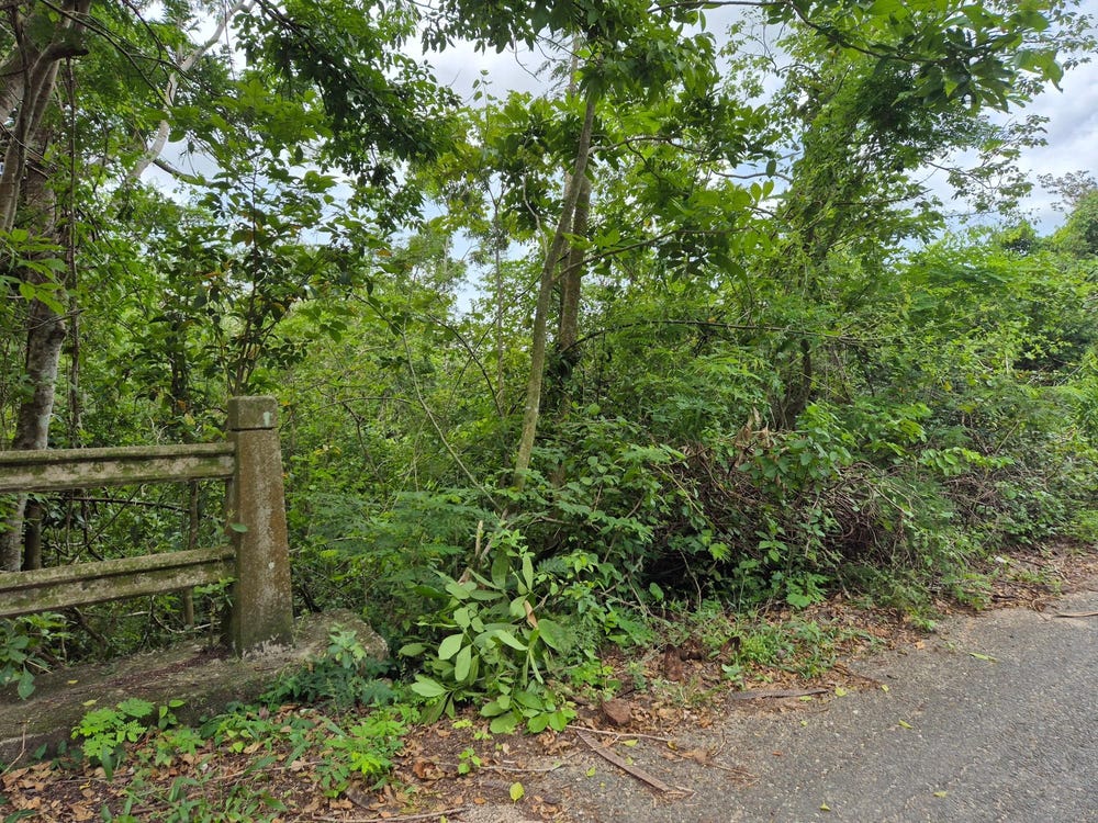433 BARRY AND LLOYDS, Guanaboa Vale, St. Catherine