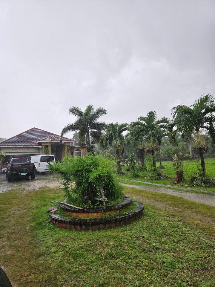 PART OF HYDE, BOG WALK lot: 2, Linstead, St. Catherine