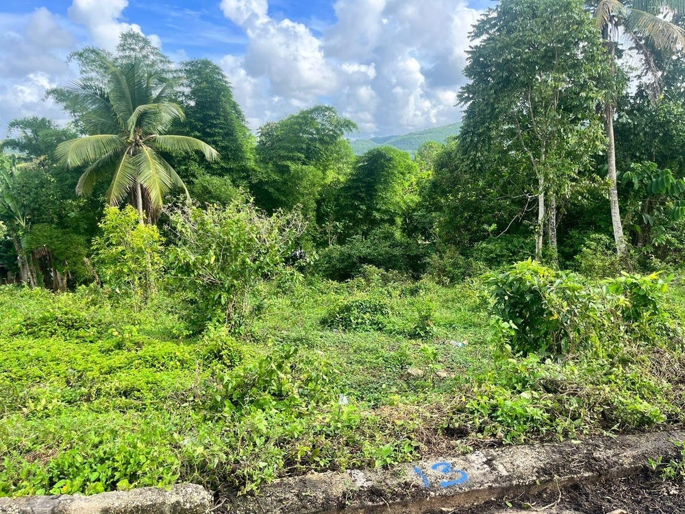 4XCW+4CQ, Church Rd, Tulloch, Jamaica, Linstead, St. Catherine Parish