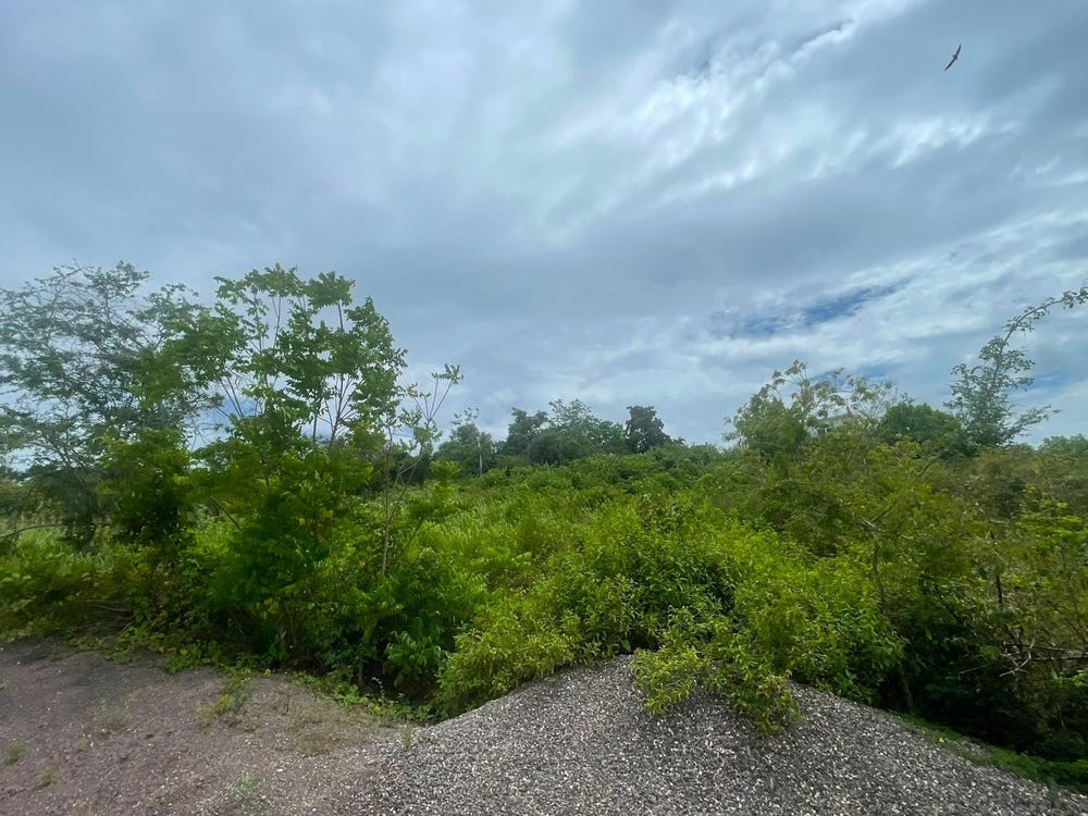 66 OUTLOOK AVENUE,MOUNT DAW, Mount Dawson, St. Catherine