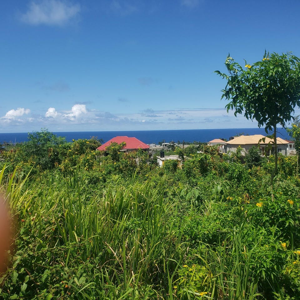 505 BOSCOBEL HEIGHTS, Boscobel Heights, St. Mary