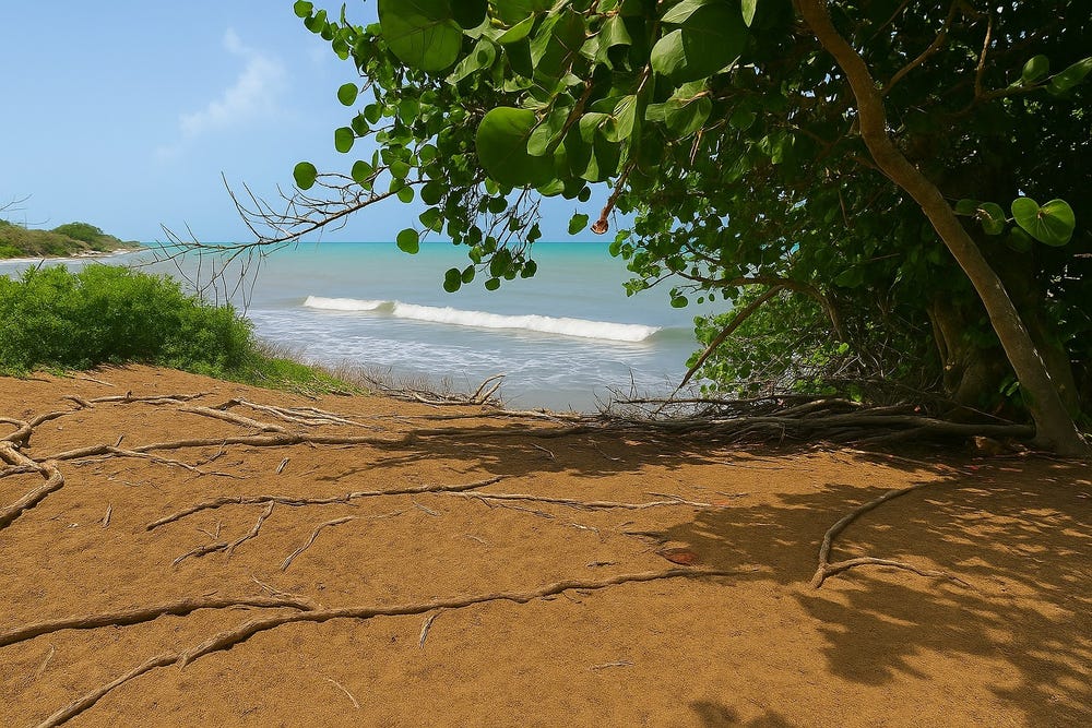 ALLIGATOR POND, MANCHESTE