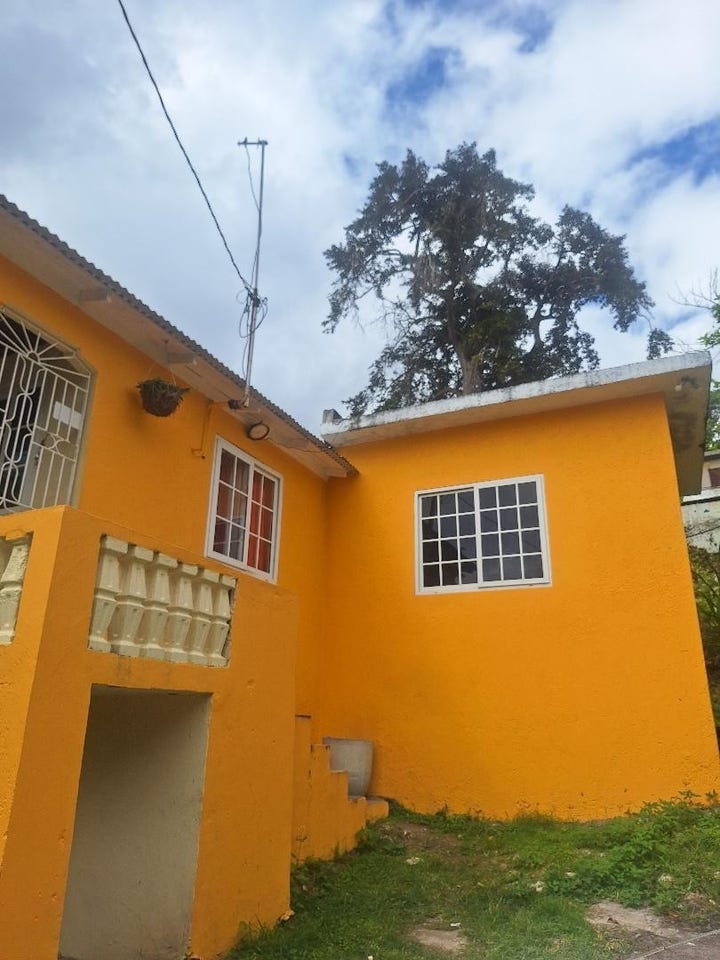 MANGO VALLEY , ST MARY