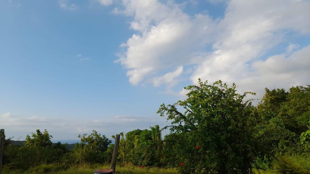 PRIMROSE HILL, DISCOVERY