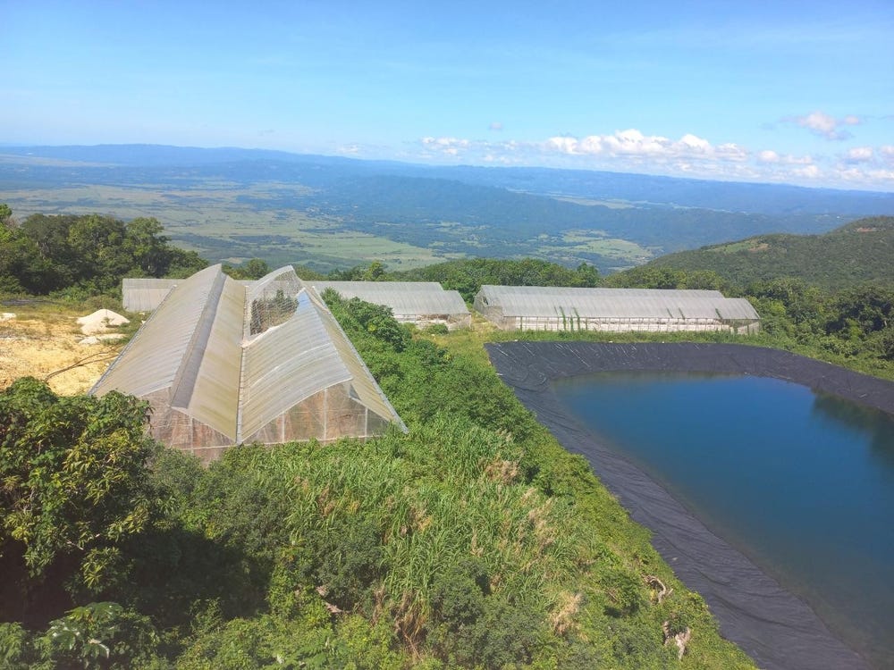 AMBY, MAIDSTONE, MANCHEST