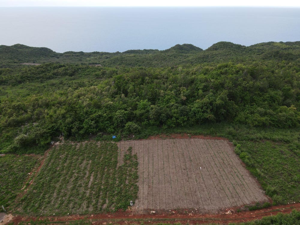 BALLARDS VALLEY, JUNCTION