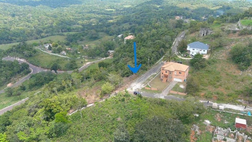 34 BRUMALIA, MANDEVILLE