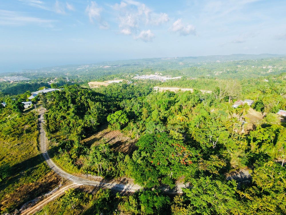 HAPPY RETREAT lot: No. 1B, Breadnut Hill, St. Ann
