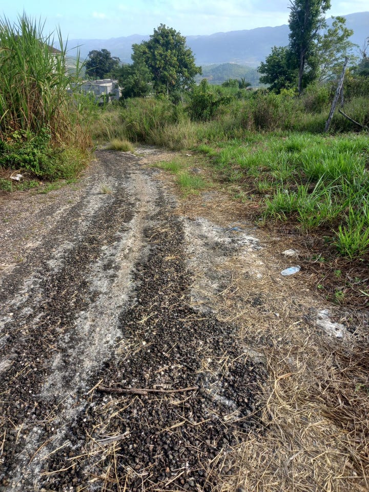 8 CLARKES TOWN ROAD lot: 9, Mandeville, Manchester