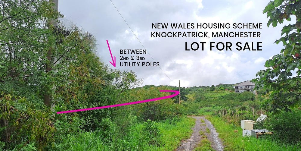 NEW WALES, KNOCKPATRICK