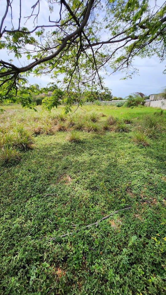 XPCW+963, May Pen, Jamaica, May Pen, Clarendon