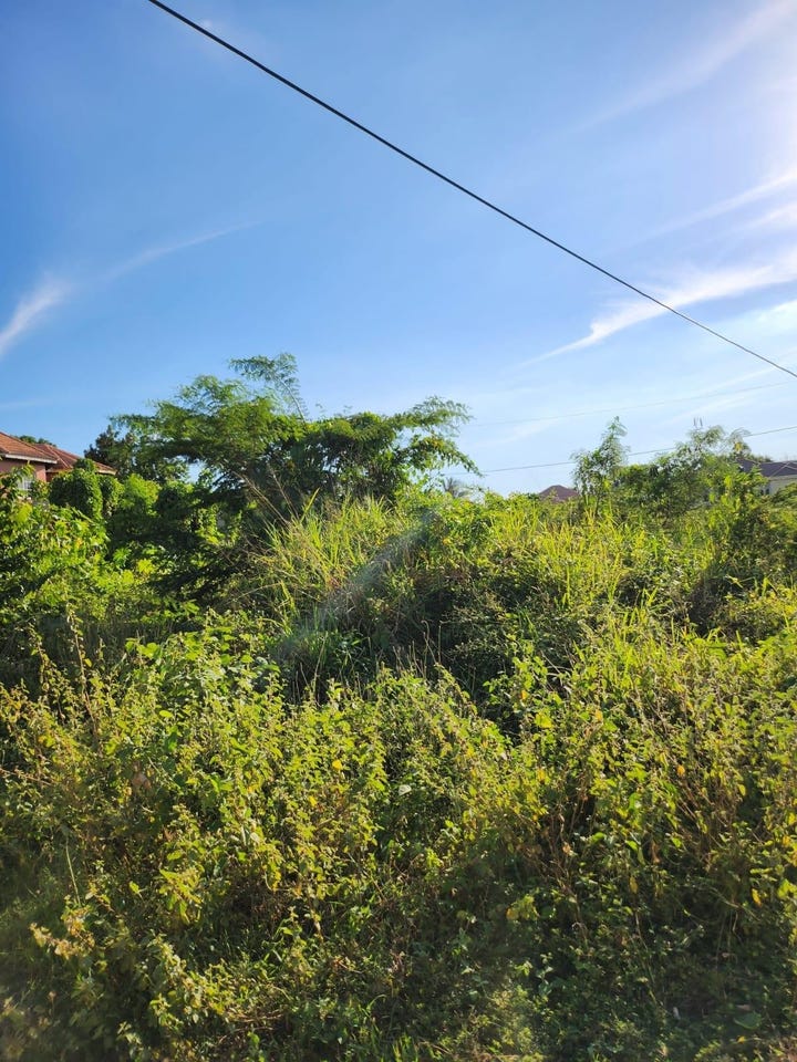 Castle Ky, Chateau, Clarendon