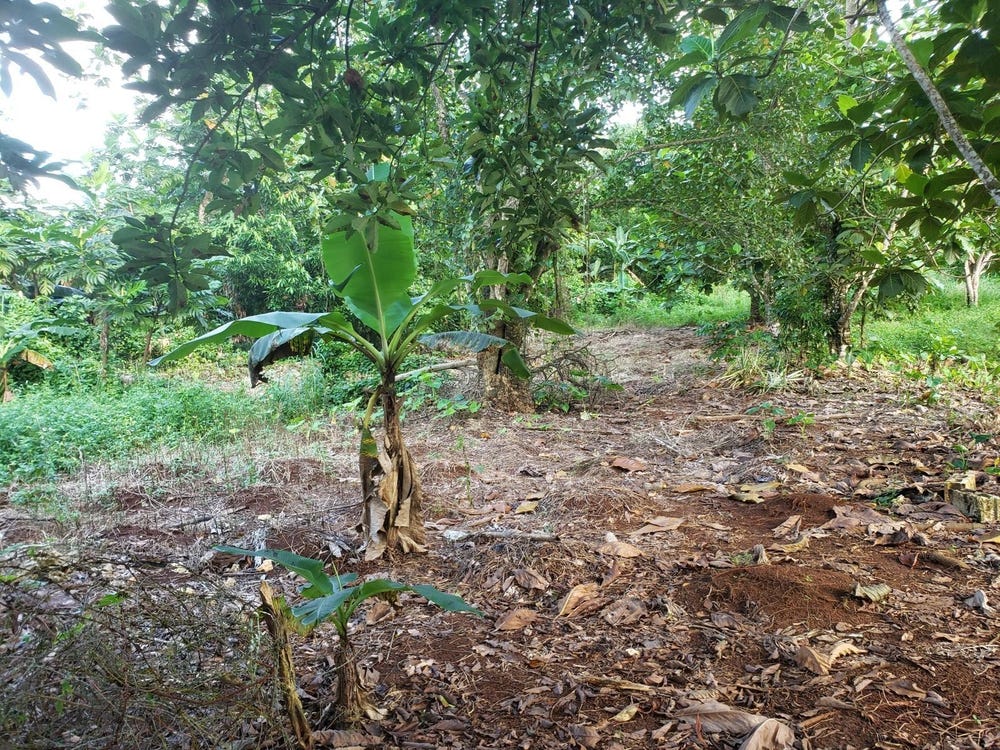 COMMODORE FAIR PROSPECT