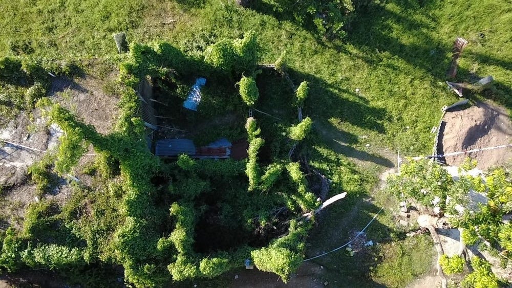 SMITHFIELD, WESTMORELAND, Savanna-La-Mar, Westmoreland