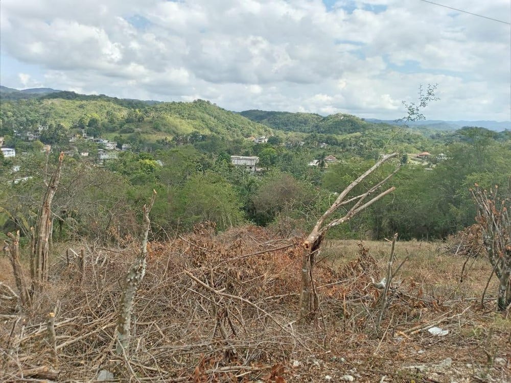 Arthur Gilchrist Drive, Anchovy, St. James Parish