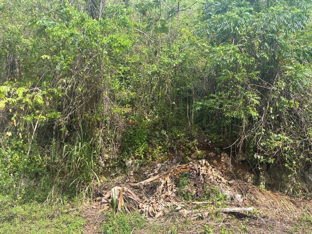 25 STONY VALLEY, STONY HILL, Stony Hill P.O., St. Andrew